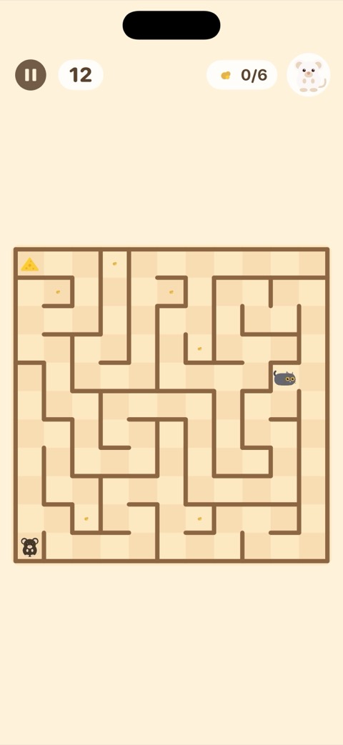 A bigger maze with Penelope the sleepy cat